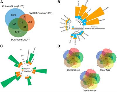 Unraveling Gene Fusions for Drug Repositioning in High-Risk Neuroblastoma